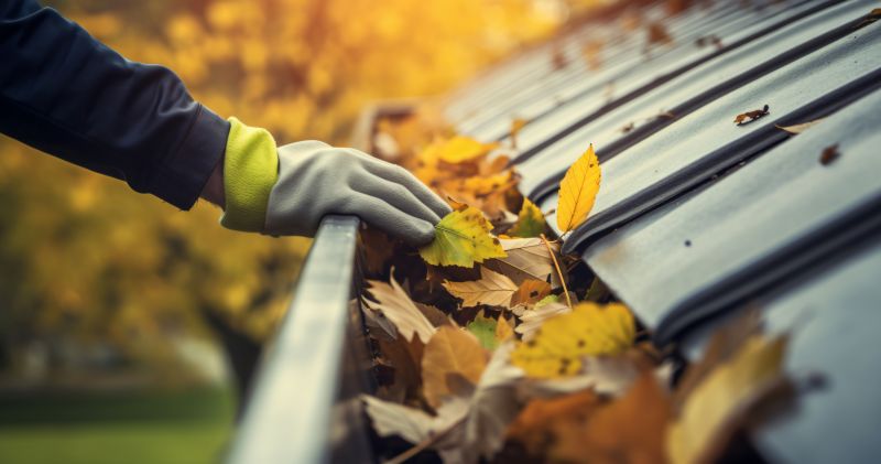 Autumn Gutter Preparation